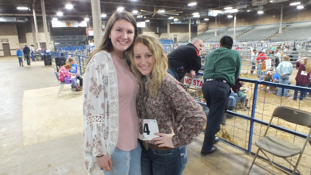 NH Jr livestock show 30