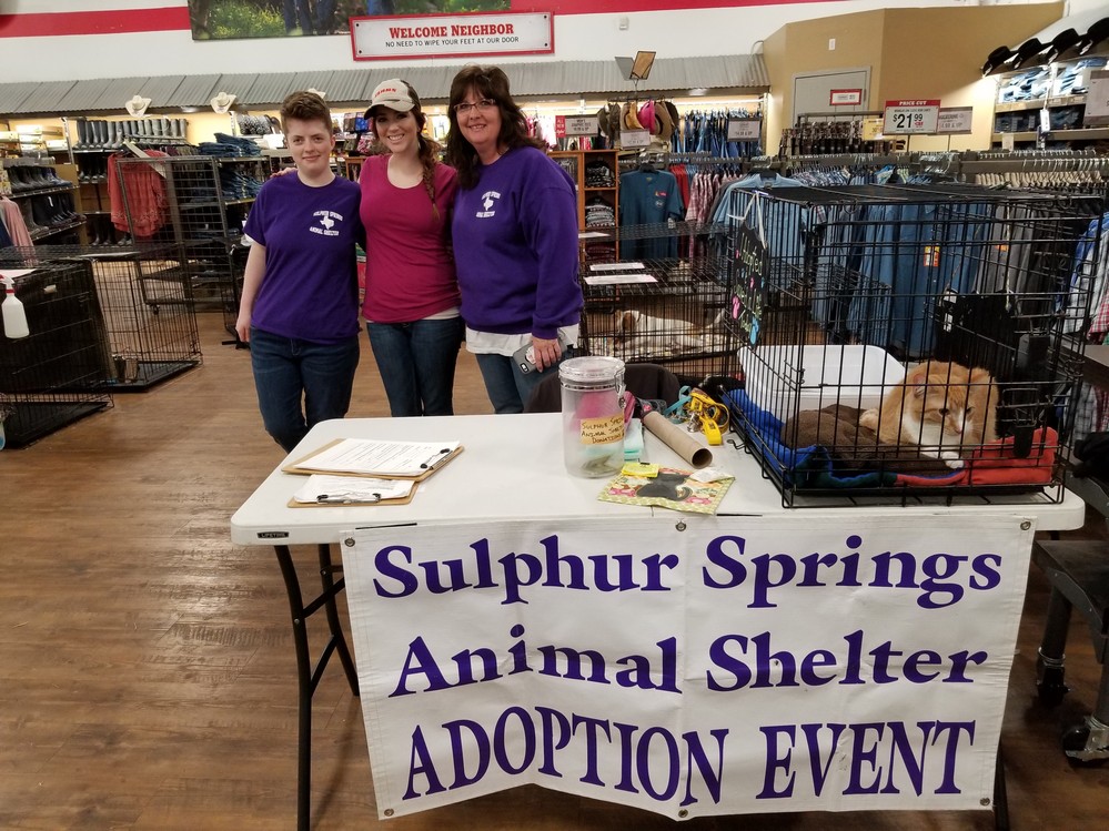 SS Animal shelter pet adoption-dog 2