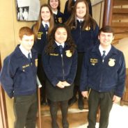 Saltillo FFA Chapter Gets Ready for Mt. Vernon/Saltillo Young Farmers Show, Stew and Auction