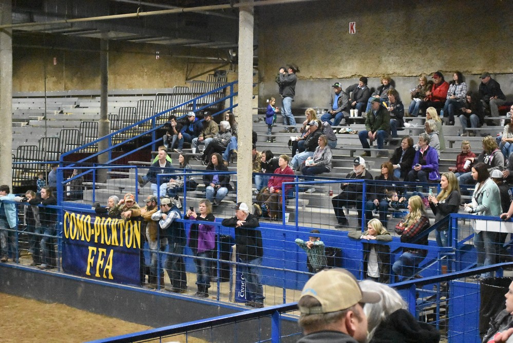 livestock show 2018 17