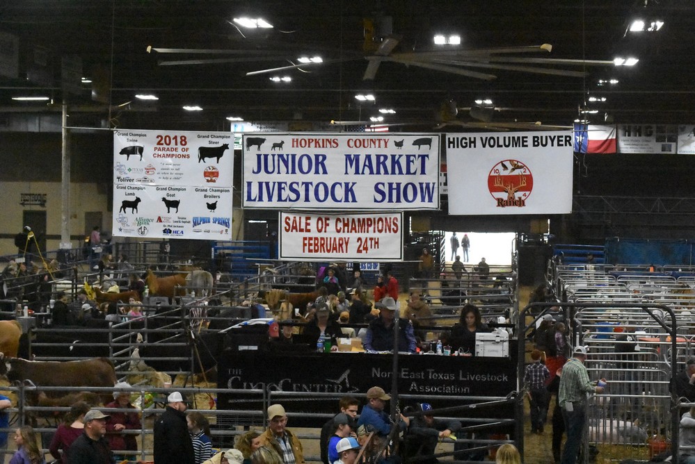 livestock show 2018 18