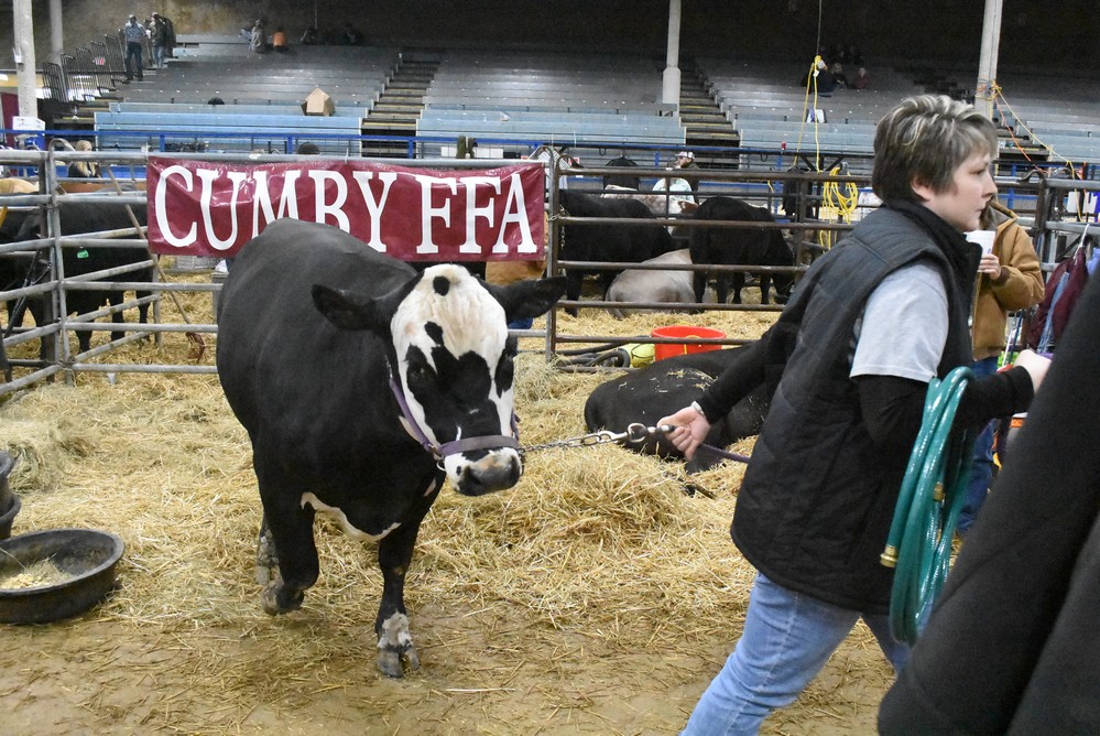 livestock show 2018 5