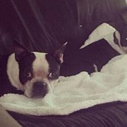 Have You Seen Fred? He’s Missing