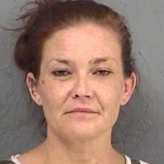 Local Woman Arrested for Burglaries in Lamar, Delta Counties; Stolen Property, Meth Found at Time of Arrest