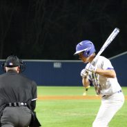 Wildcat Baseball to Play Greenville
