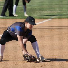 Lady Cats, Lady Rabbits Meet in Regional Quarterfinal Series