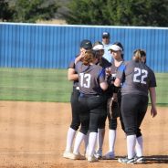 Game Day: Lady Cats Enter Bi-District at Lovejoy