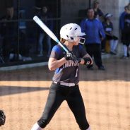 Lady Cats Area Game Schedule Set