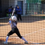 Lady Cats Advance to Area