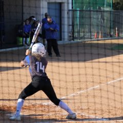 Lady Cats Advance to Area