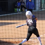 Lady Cats Softball Collect 13 Hits in Tuesday Win