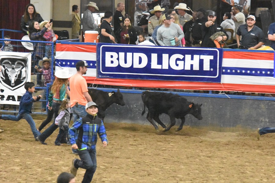 UPRA Rodeo 19