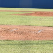 Lady Cats Softball, Wildcats Baseball Begin Next Rounds Of Playoffs