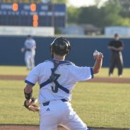 Game Day: Wildcats Host Greenville