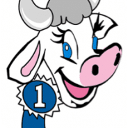 Hopkins County Dairy Festival  2020  News