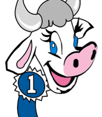 Hopkins County Dairy Festival  2020  News