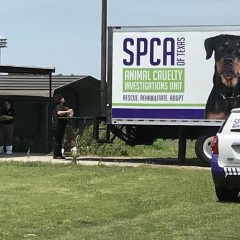 Hopkins County Deputies, SPCA Seize Approximately 50 Dogs, Find Approximately 50 Dead Dogs in Freezer at Northern Hopkins County Residence