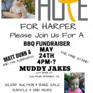 Hope for Harper Fundraiser