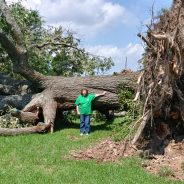 Late Evening Thunderstorm Causes Some Tree Damage in Hopkins County