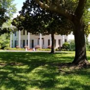 Video Presentation: Dedication of Registered Texas Historical Landmark at Local Home