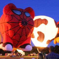 Dairy Festival is a Favorite Stop for Hot Air Balloonists!