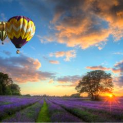 Look Up This Weekend for Hot Air Balloons As Part of Dairy Festival!