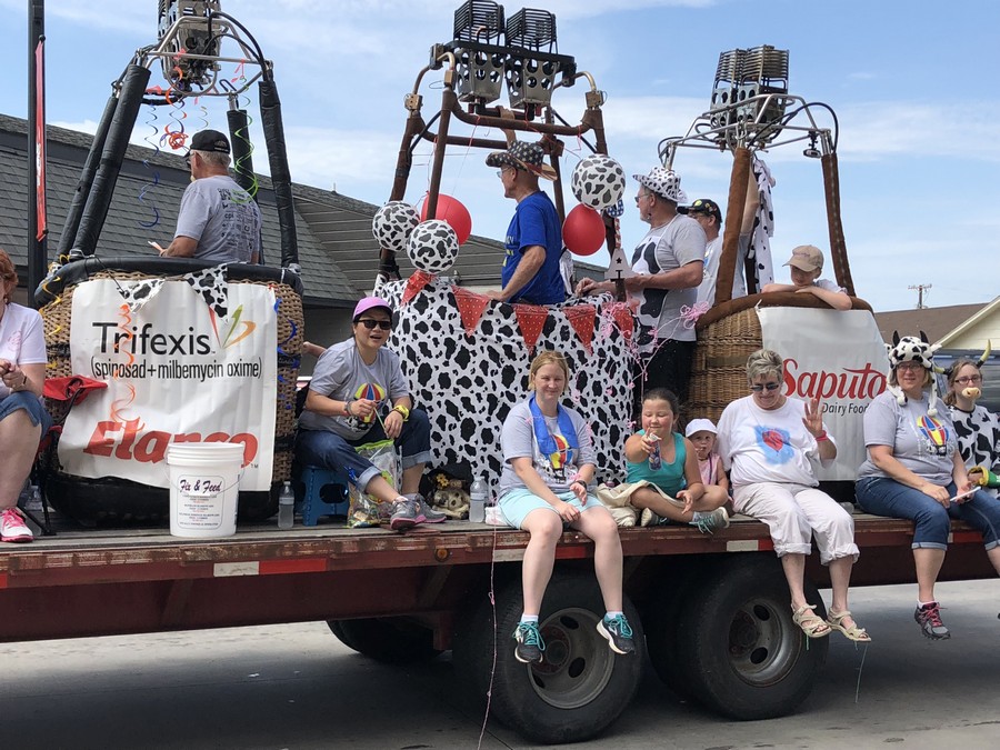 Dairy Fest Parade 3