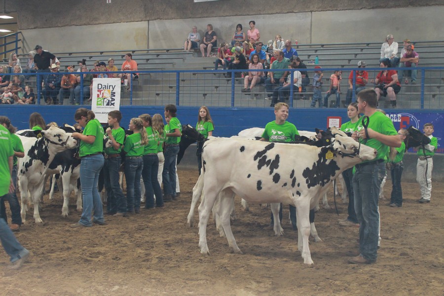 JR dairy Show 1