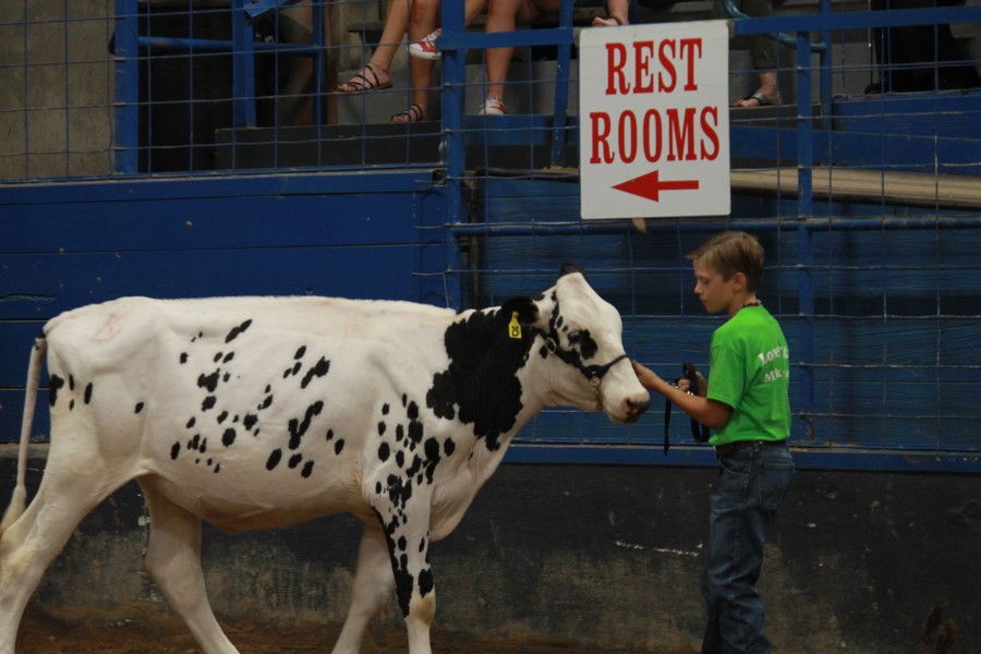 JR dairy Show 10