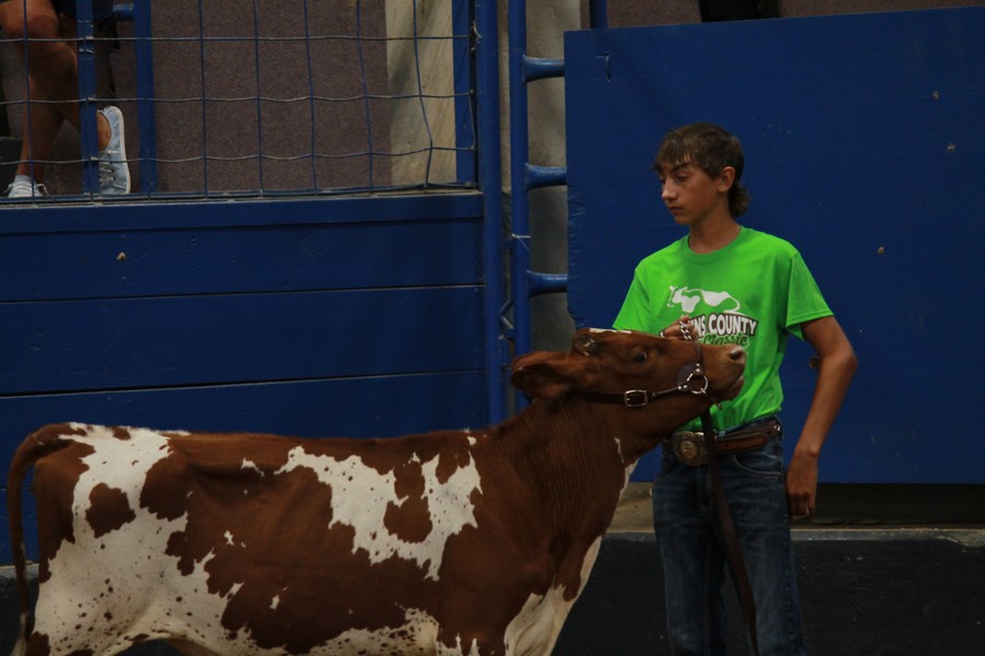 JR dairy Show 11