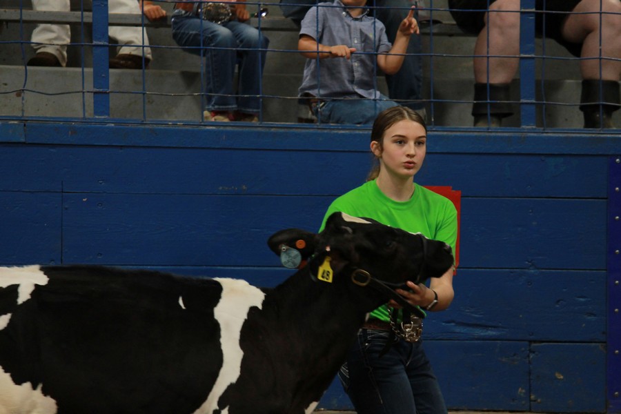 JR dairy Show 12