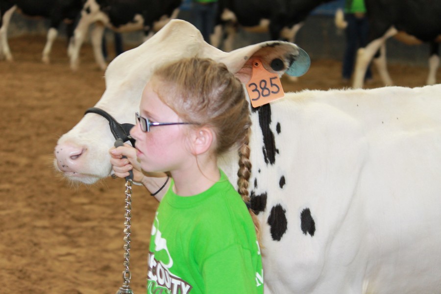 JR dairy Show 13