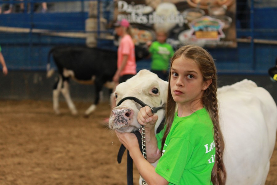 JR dairy Show 14