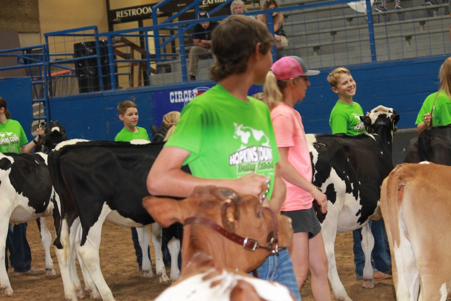 JR dairy Show 15