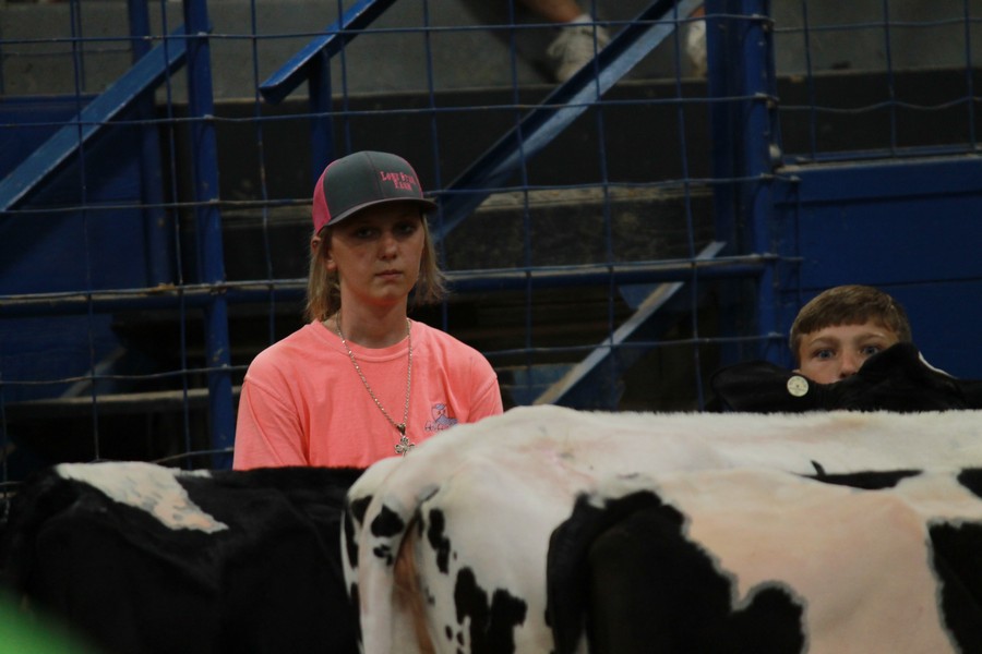 JR dairy Show 18