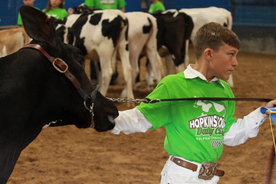 JR dairy Show 19