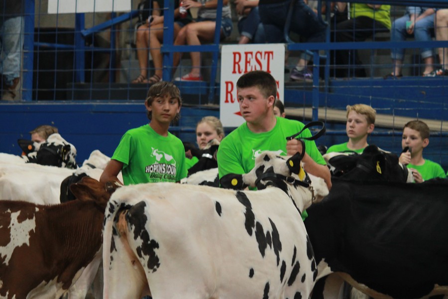 JR dairy Show 2