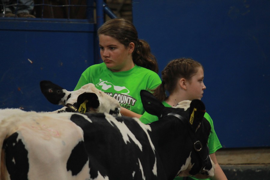 JR dairy Show 3