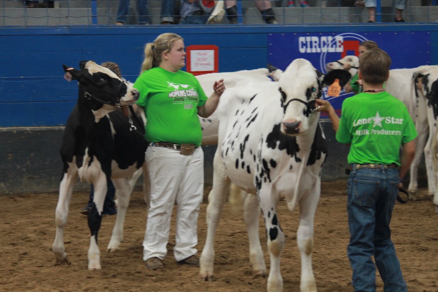 JR dairy Show 4