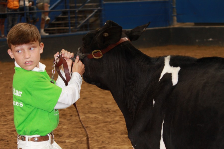 JR dairy Show 5