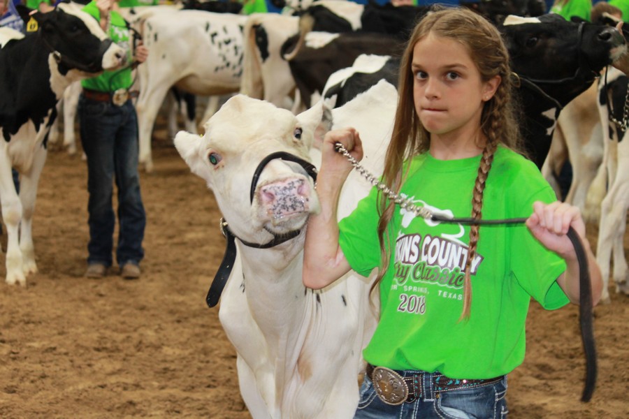 JR dairy Show 6