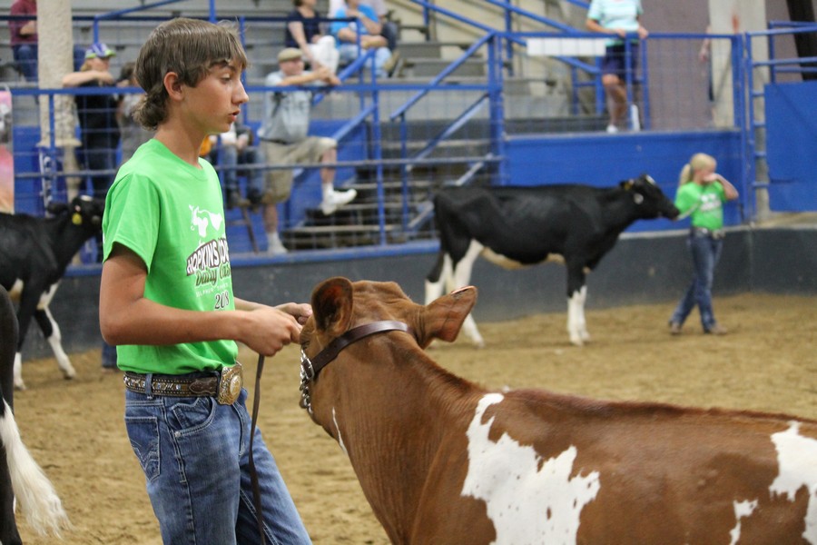 JR dairy Show 8