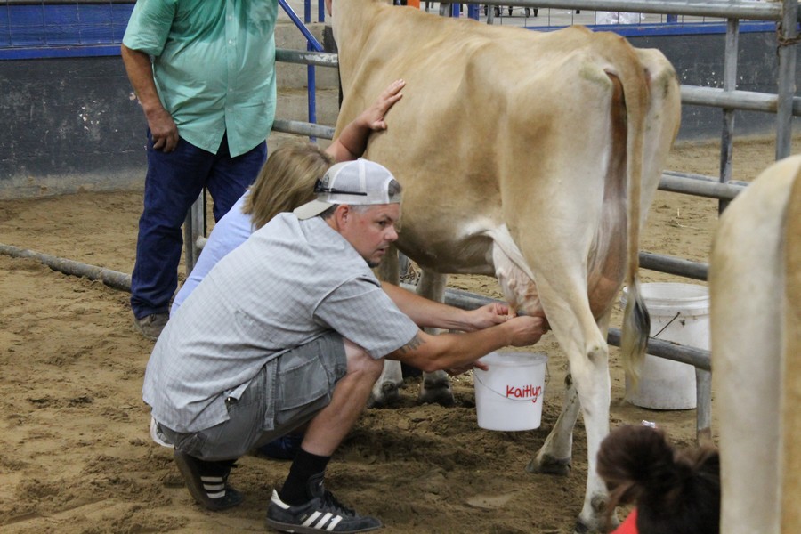 Milking Contest 16