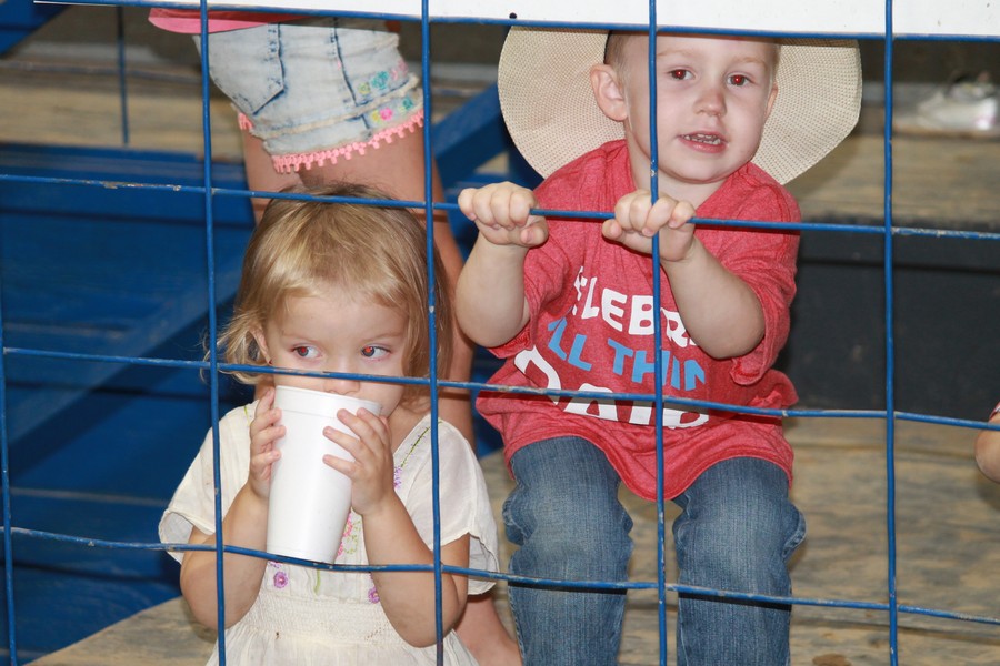 Milking Contest 2