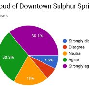 Downtown Satisfaction Survey: Results