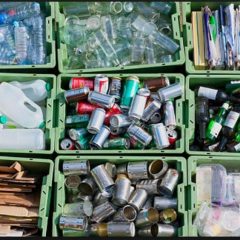 Recycling in Sulphur Springs: A Survey