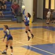 Game Day: Lady Cats Host Royse City