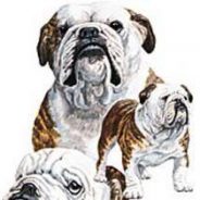 Royse City Head Coach Calls This Year’s Team Best He’s Had in Six Years