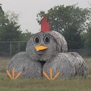 Chicken! A Sculpture in Hay