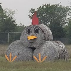 Chicken! A Sculpture in Hay